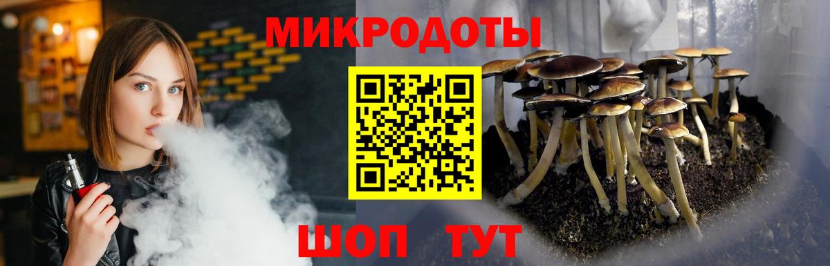 Котовск  Галлюциногенные грибы Psilocybine cubensis  Вход с VPN  Галлюциногенные грибы Psilocybe 